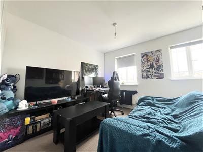 Picture 7